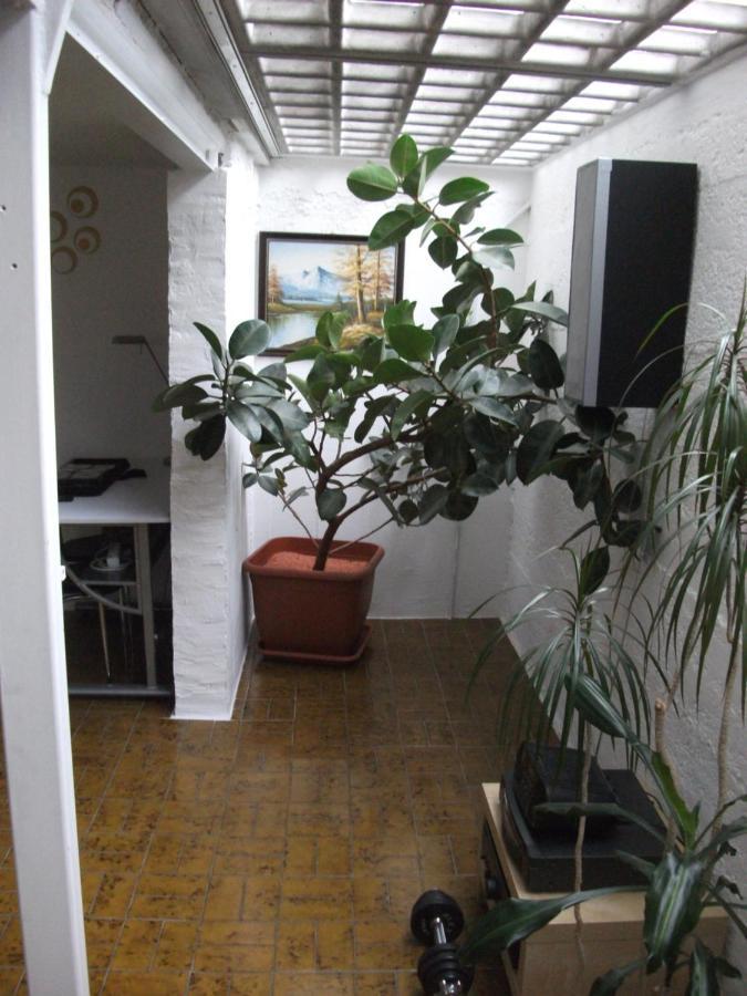 Helle Grosse Souterrainwohnung Mit Eigenem Eingang Appartement